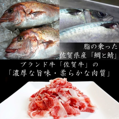 唐津ご飯のお供詰め合わせセット 綿そぼろ鯛と鯖 100g×2袋・佐賀牛牛すき牛丼具 275g×6袋