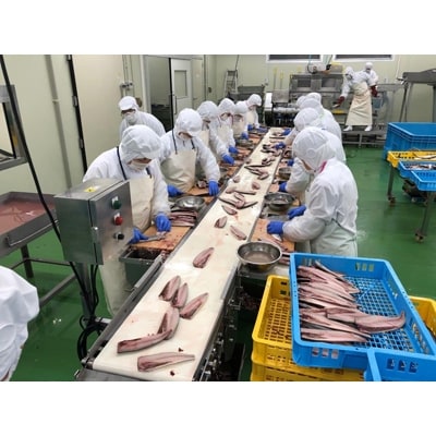 昆布のエキスで臭みを取った、身はふっくら皮は香ばしい、ひと味違う昆布塩サバフィーレ4枚3パック