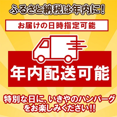 【入金確認後最短2日発送】【創業60年】老舗肉屋の特上ハンバーグ10個