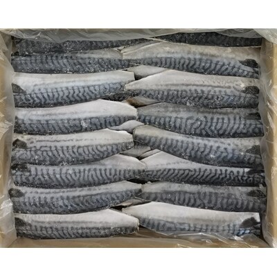 昆布塩さばフィレ(ノルウェー産)約140g　36枚入