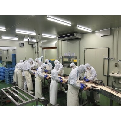 昆布塩さばフィレ(ノルウェー産)約140g　36枚入