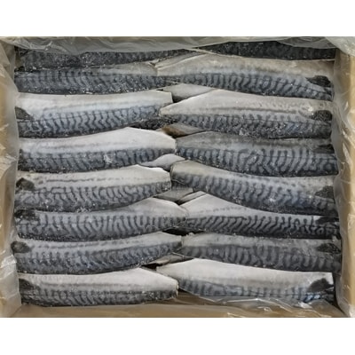 藻塩糀さばフィレ(ノルウェー産)約140g　36枚入