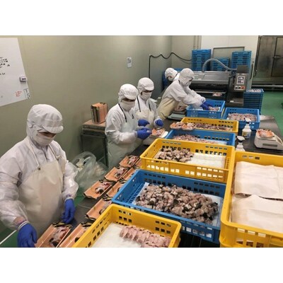海水かけ流しトラフグ切身　ちり鍋用(4～5人前)