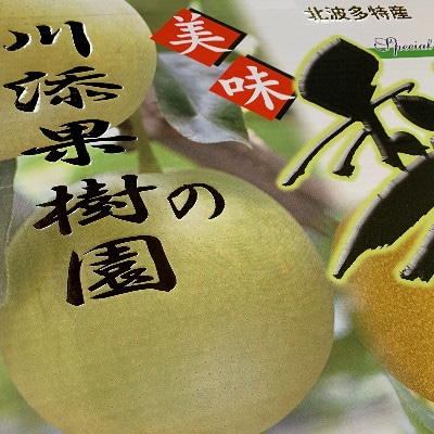 二代目川添果樹園の旬な豊水梨　約5kg
