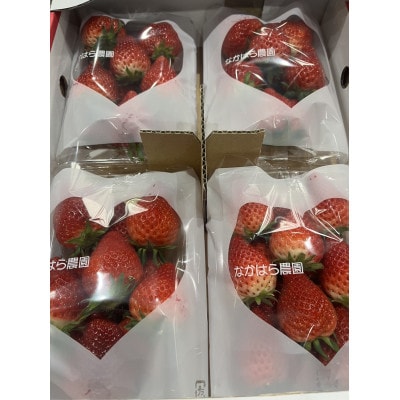 佐賀県産「いちごさん」350g×4パック