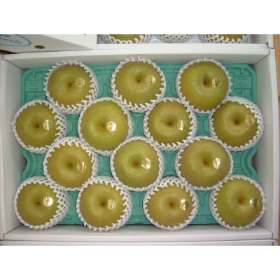 唐津梨　5kg