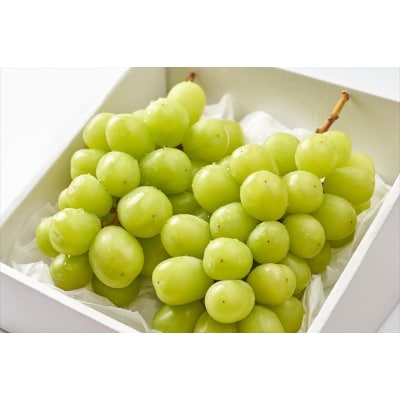 唐津産　シャインマスカット　2kg