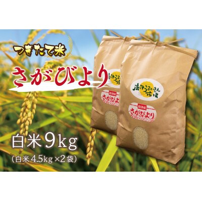 【令和4年産】唐津産特別栽培米 さがびより(白米) 9kg(4.5kgx2)