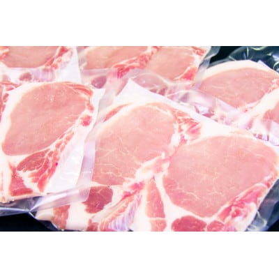 【肥前さくらポーク】ロースとんかつ用1kg(100g×2枚)×5パック　※真空パック