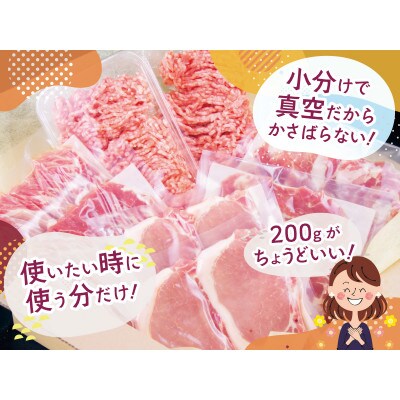 【肥前さくらポーク】ロースとんかつ用1kg(100g×2枚)×5パック　※真空パック