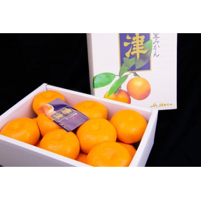 唐津玄海産　温室みかん　化粧箱　1.8kg