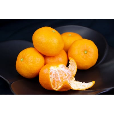 唐津玄海産　温室みかん　化粧箱　1.8kg