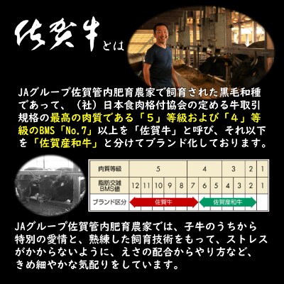 佐賀牛サーロインステーキ 400g