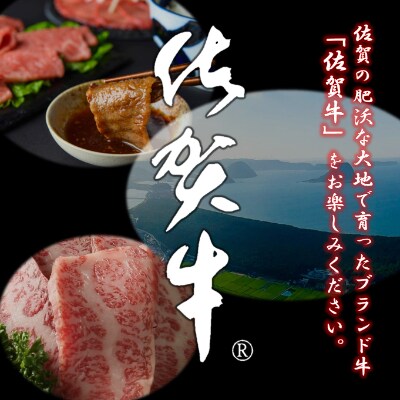 佐賀牛焼肉5種盛 800g