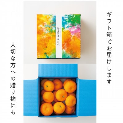 【2025年6・7月発送】ハウスみかん夏織(1.3kg)～海と空と、みかん～