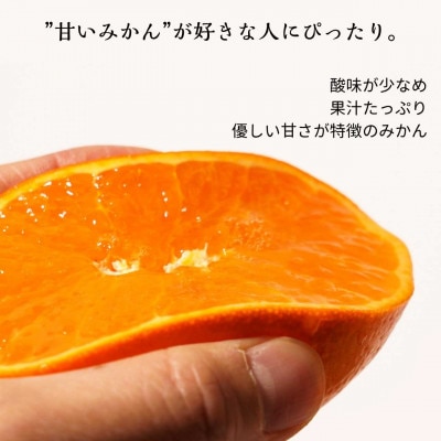 【先行予約|2027年2月頃発送】農園直送・ハウス育ちの麗紅(れいこう) 海と空と、みかん