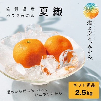 【2025年6・7月発送】ハウスみかん夏織(2.5kg)～海と空と、みかん～