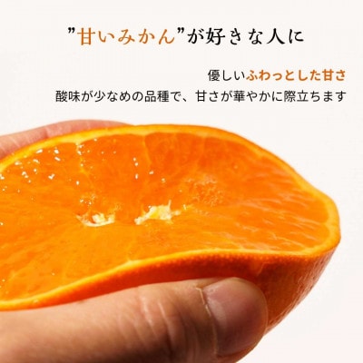 【先行予約・2027年2月頃発送】農園直送ハウス育ちの麗紅(れいこう) 海と空と、みかん 2.5kg