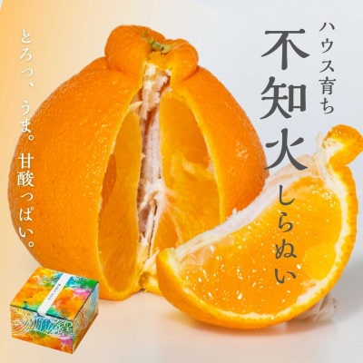 【2027年3月より順次発送】ハウス育ち不知火(約1kg) ～海と空と、みかん～