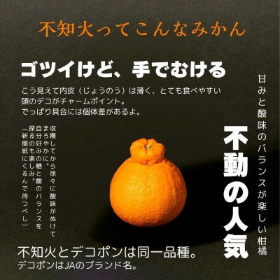 【2027年3月より順次発送】ハウス育ち不知火(約1kg) ～海と空と、みかん～