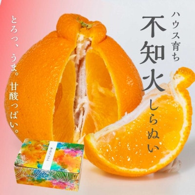 【2027年3月より順次発送】ハウス育ち不知火(約2kg) ～海と空と、みかん～