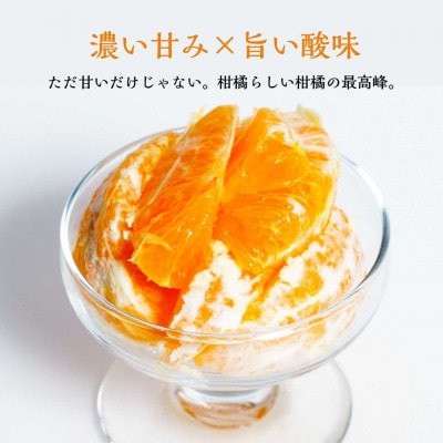 【2027年3月より順次発送】ハウス育ち不知火(約2kg) ～海と空と、みかん～