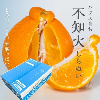 【2027年3月より順次発送】ハウス育ち不知火(約3.3kg) ～海と空と、みかん～