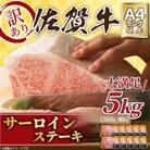 訳アリ!【A4～A5】佐賀牛サーロインステーキ　5kg(250g2枚入り×10パック)(唐津市)