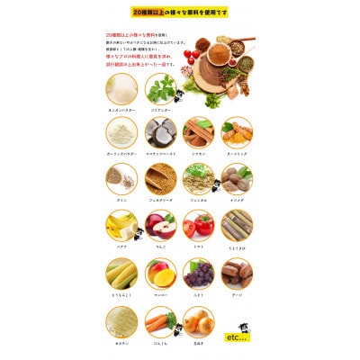 【厳選希少部位使用】国産牛レトルトカレー「カレーです。」1kg(200g×5P)(唐津市)