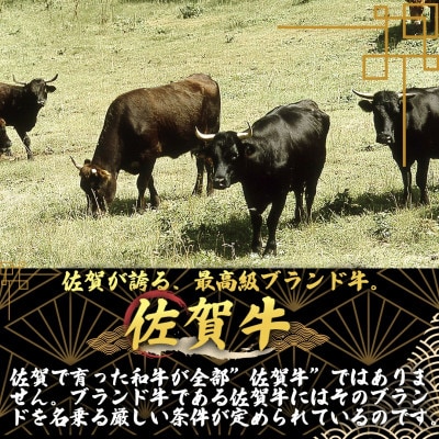 艶さし!【A4～A5】佐賀牛 4種 詰め合わせ セット 1.4kg(唐津市)