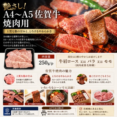 艶さし!【A4～A5】佐賀牛焼肉用　500g(250g×2p)(唐津市)