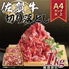 【毎月定期便】艶さし!【A4～A5】佐賀牛切り落とし 1kg(500g&times;2p)(唐津市)全12回