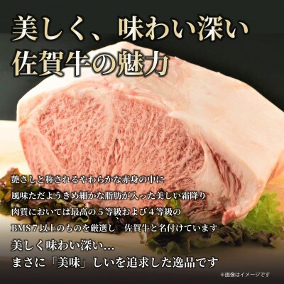 2023年6月発送開始『定期便』艶さし!佐賀牛サーロインステーキ　500g(唐津市)全12回