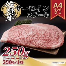 2024年5月発送開始『定期便』艶さし!佐賀牛サーロインステーキ 250g&times;1枚(唐津市)全3回