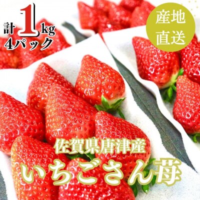 【濃厚苺いちごさん】1kg 沢山の日光を浴びた苺!《順次発送中》