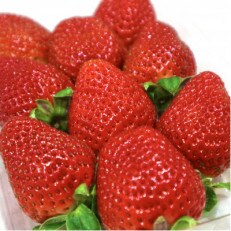 【農家直送】佐賀県唐津産「品種:さちのか」1.5kg 2023年4月より順次発送