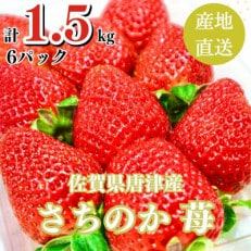 【濃厚苺 さちのか】1.5kg 山の斜面で日光を浴びたビタミンC豊富な苺!2024年3月より順次発送