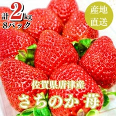 【濃厚苺 さちのか】2kg 山の斜面で日光を浴びたビタミンC豊富な苺!2024年3月より順次発送