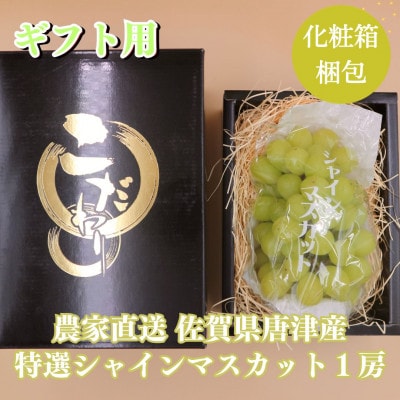 【化粧箱/ギフト・贈答用】佐賀県唐津市産 特選シャインマスカット 1房 2025年先行受付