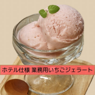 【ホテル仕様】業務用いちごジェラート 12個　《先行予約 2025年5月より順次発送》(唐津市)