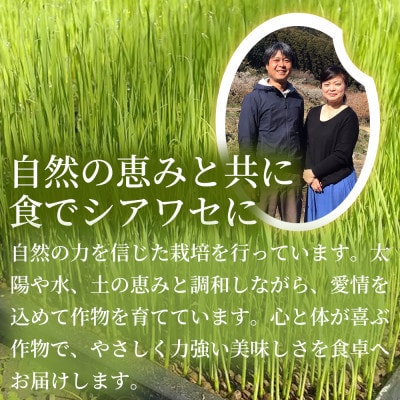 【料理の美味しさを引き立てる】ヒノヒカリ(白米)2kg×1袋