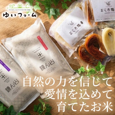 【主食をまるごと楽しむ】・ヒノヒカリ(玄米) 5kg ・おこめ麺(玄米) 10袋 1箱 詰め合わせ