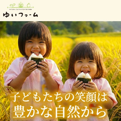【ふっくら艶やかな粒】夢しずく(白米) 2kg×1袋