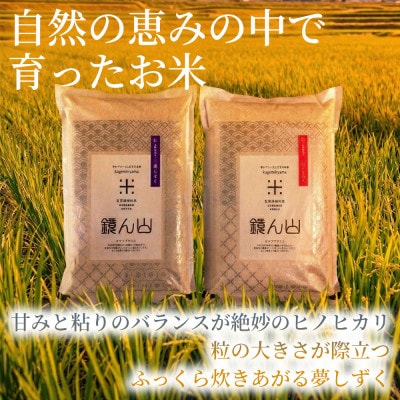 【ふっくら艶やかな粒】夢しずく(白米) 2kg×1袋