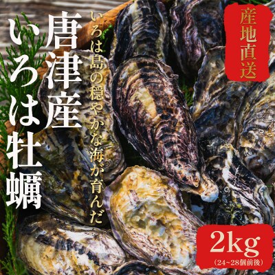 佐賀県 唐津産 殻付きいろは牡蠣 2kg【2024年12月中旬より順次発送】
