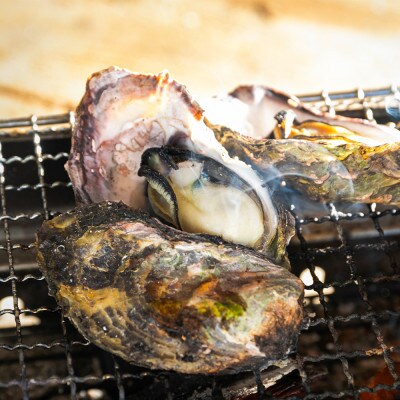 佐賀県 唐津産 殻付きいろは牡蠣 2kg【2024年12月中旬より順次発送】