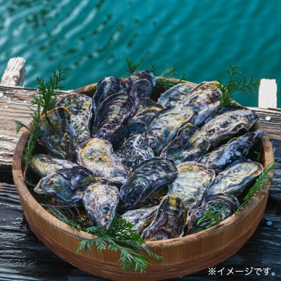 佐賀県 唐津産 殻付きいろは牡蠣 2kg【2024年12月中旬より順次発送】