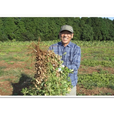 唐津花生ローストピーナッツ 薄皮付5袋 唐津産 自家焙煎