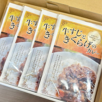 牛すじときくらげのカレー