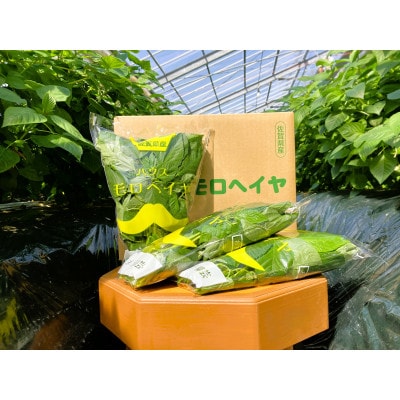 佐賀県産ハウスモロヘイヤ　3kg(100g×10袋×3箱)